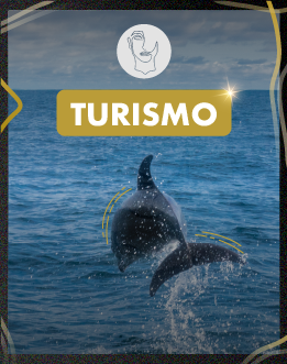 Turismo
